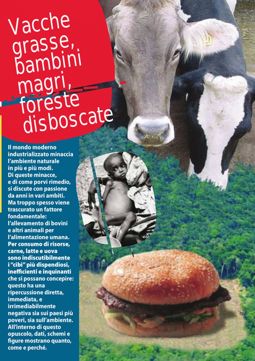 Vacche grasse, bambini magri, foreste disboscate